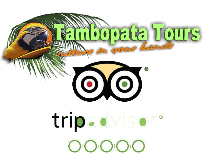 tambopatatours